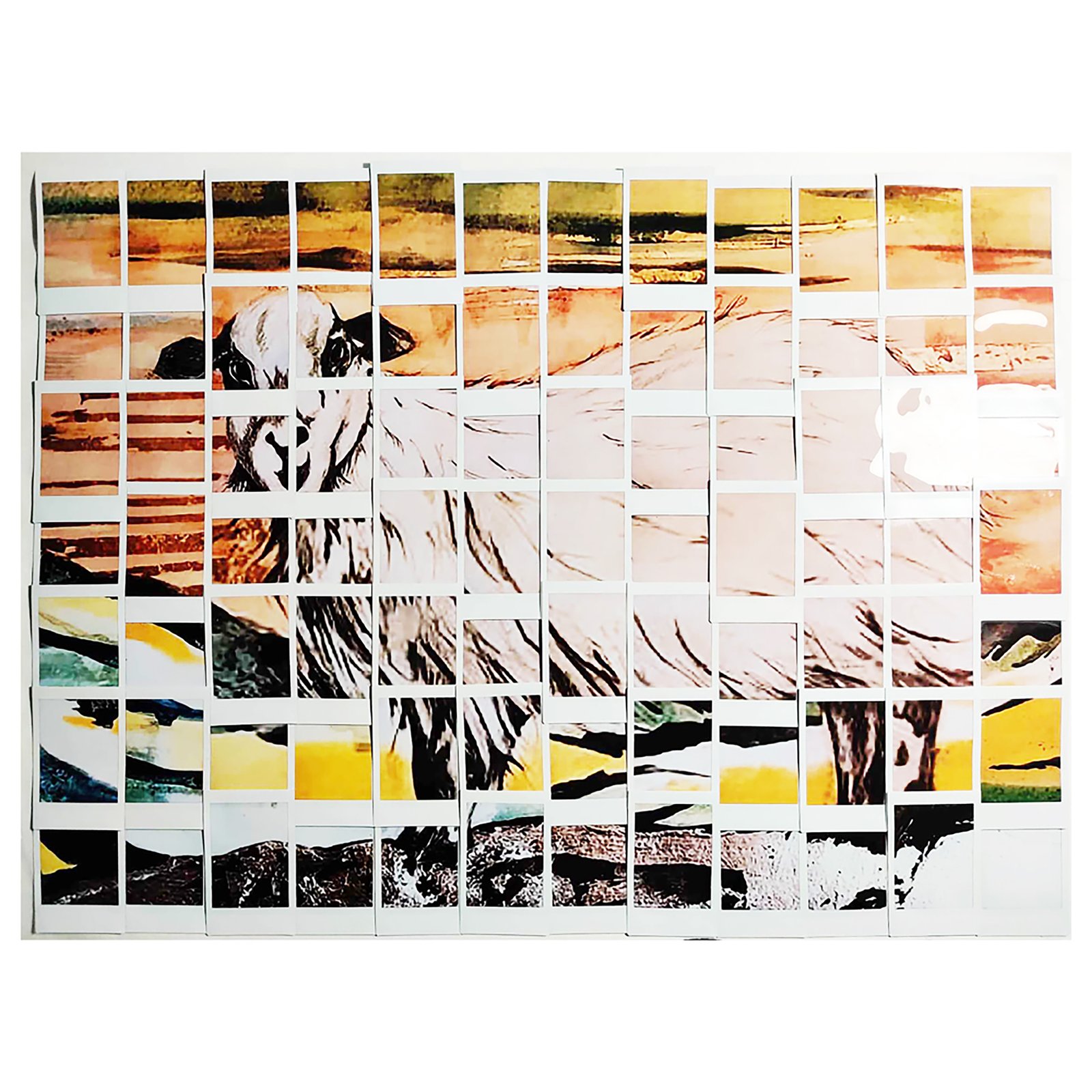 img/collage/collage12.jpg